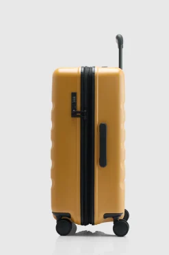 Icon Stripe 66cm Suitcase