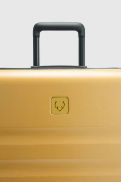 Icon Stripe 55cm Suitcase